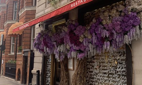 Chorus.cx_boccochino_mayfair