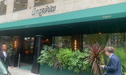 chorus.cx_amazonico_mayfair