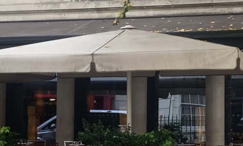 chorus.cx_roka_mayfair