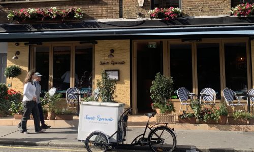 chorus.cx_santo_remedio_marylebone