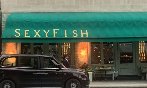 chorus.cx_sexy_fish_mayfair