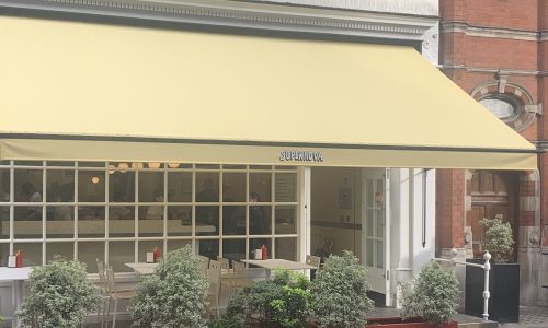 chorus.cx_supernova_mayfair